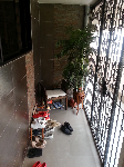 Blk 109 Tampines Street 11 (Tampines), HDB 3 Rooms #414452
